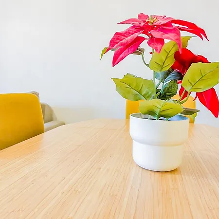 Lumineux A 2 Mins A Pied De La Gare Apartment *