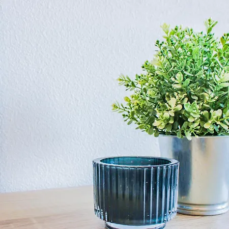 Lumineux A 2 Mins A Pied De La Gare * Clermont-Ferrand