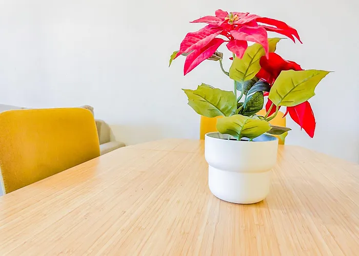 Lumineux A 2 Mins A Pied De La Gare アパート *