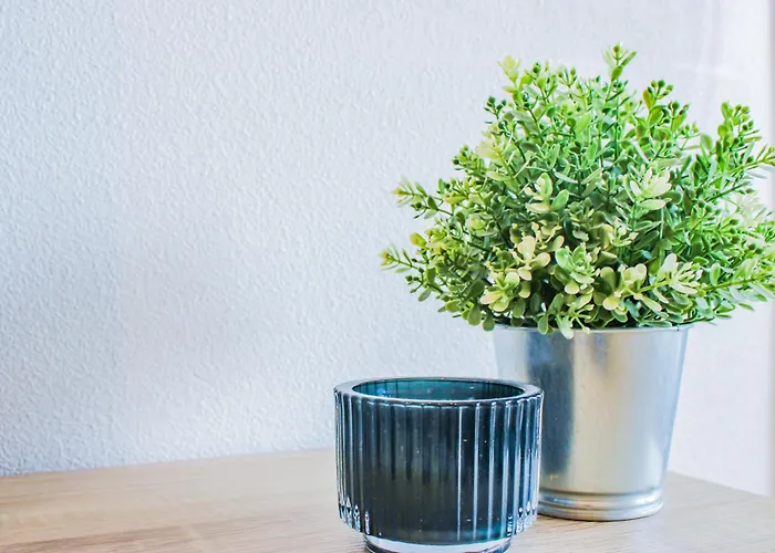 Lumineux A 2 Mins A Pied De La Gare * קלרמונט-פרנד